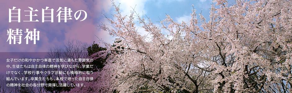 金沙官网app官网会员注册